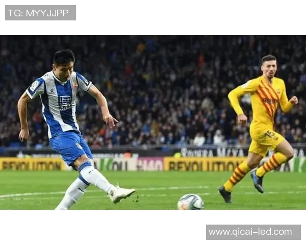 上海乒乓球队实力之争引发热议球迷与专家各抒己见分析战绩与未来